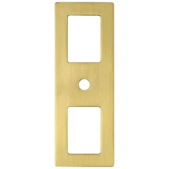 Berenson Statler Backplate in Modern Brushed Gold