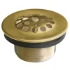 Brass Tub Drain in Brushed Brass
