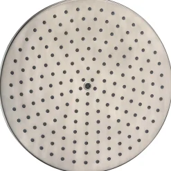 Dawn 8 or 10 inch Round Rainhead