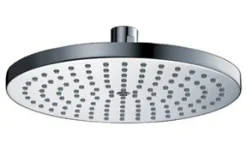Dawn 8 or 10 inch Round Rainhead
