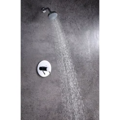 Dawn Pinnacles Series Shower Combo Set Wall Mounted Showerhead with Trim