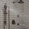 Delta Single-Setting Raincan Shower Head