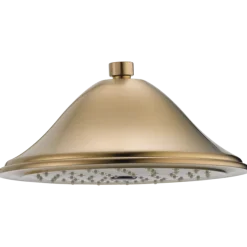 Delta Single-Setting Raincan Shower Head