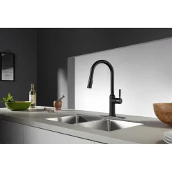 Kingston Brass Gourmetier Kaiser Single-Handle Pull-Down Kitchen Faucet