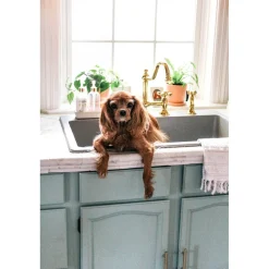 Kingston Brass Restoration Kitchen Bridge Faucet with Brass Sprayer