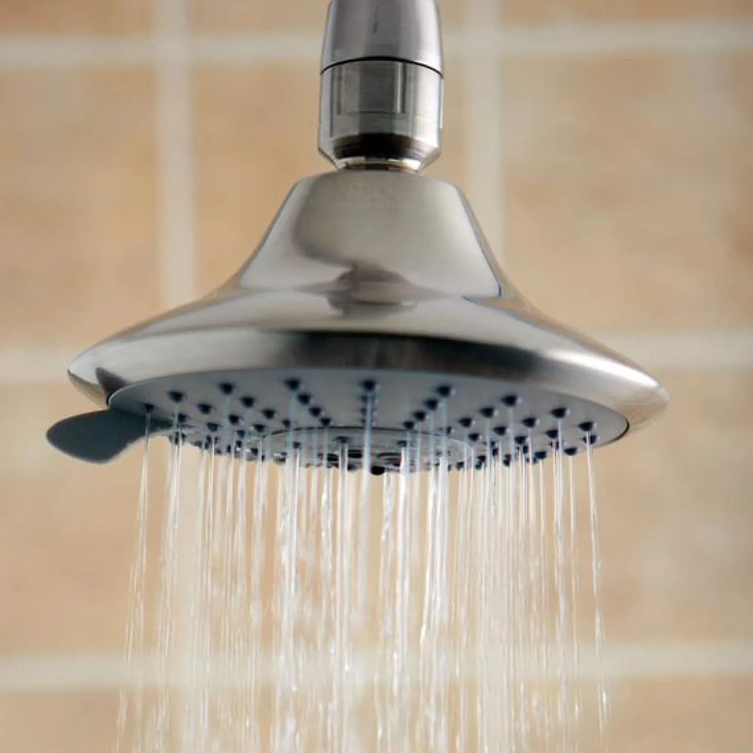 Kingston Brass Setting Adjustable Showerhead