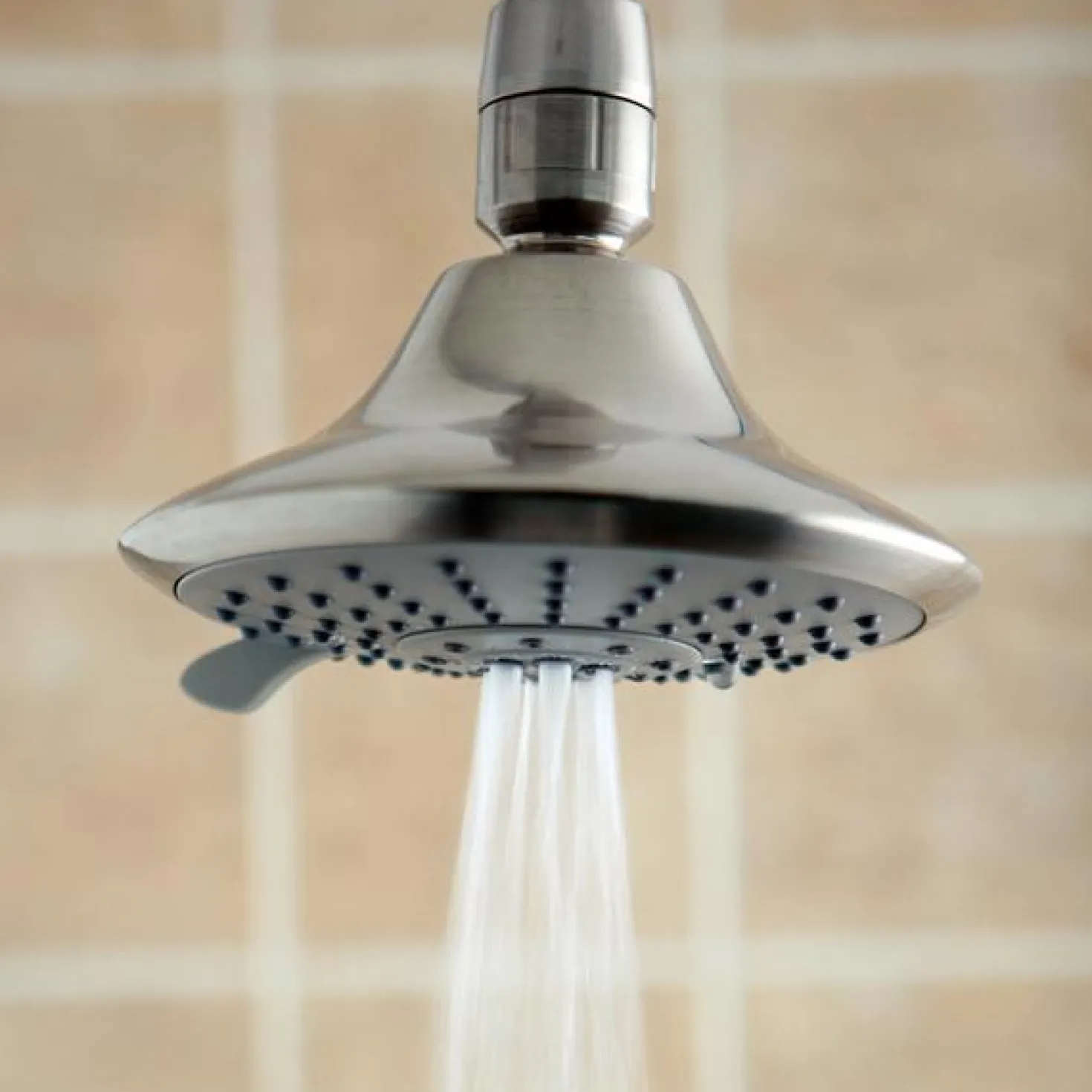 Kingston Brass Setting Adjustable Showerhead