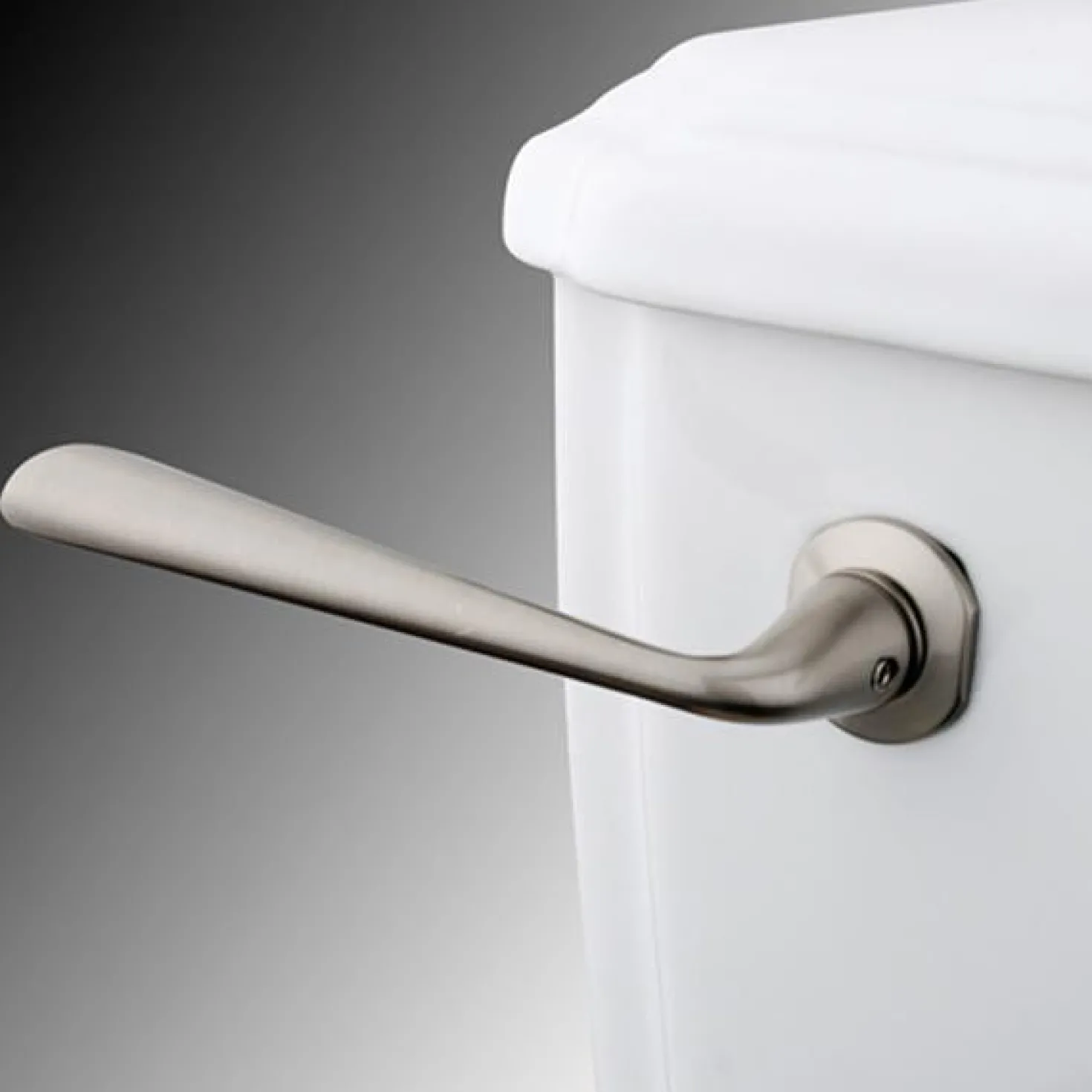Kingston Brass Silver Sage Toilet Tank Lever
