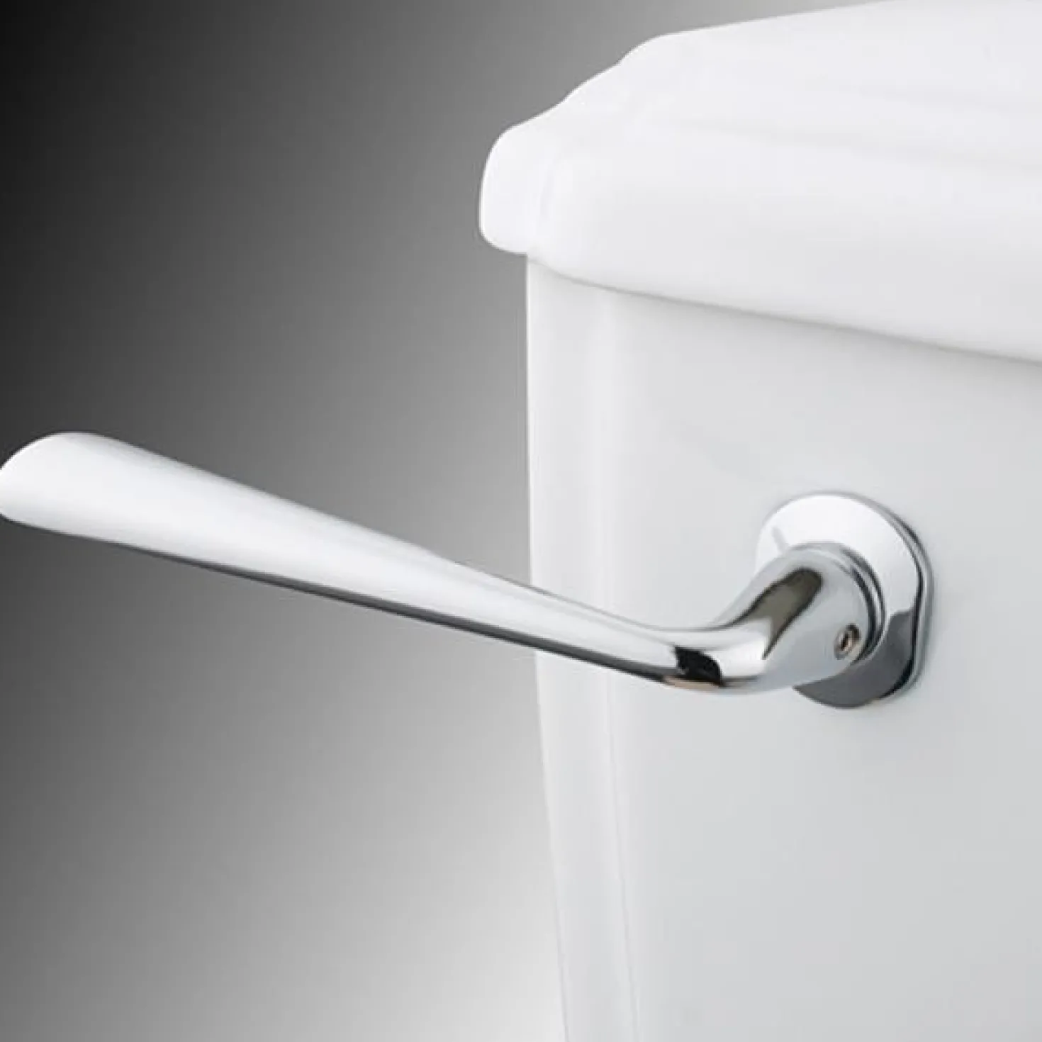 Kingston Brass Silver Sage Toilet Tank Lever