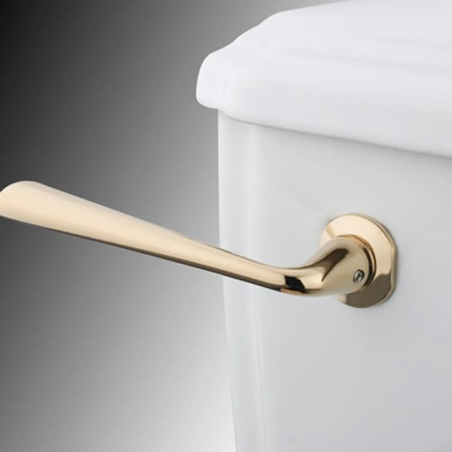 Kingston Brass Silver Sage Toilet Tank Lever