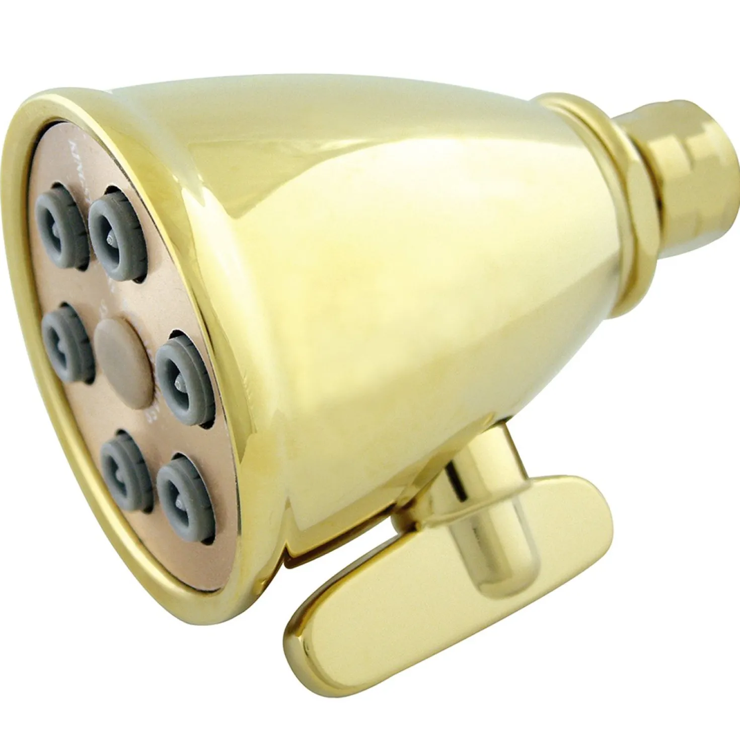 Kingston Brass Victorian 3" 6 Jet Adjustable Shower Head