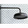 Kingston Brass Victorian 10" Shower Head and 17" Ceiling Support Combo