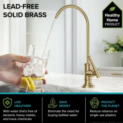 KRAUS Allyn Transitional Bridge Kitchen Faucet & Water Filter Faucet in Brushed Gold