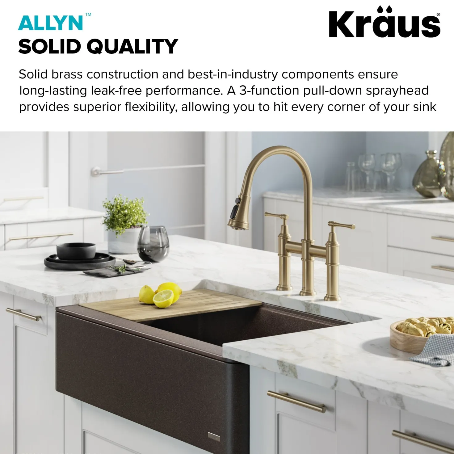 KRAUS Allyn Transitional Bridge Kitchen Faucet & Water Filter Faucet in Brushed Gold