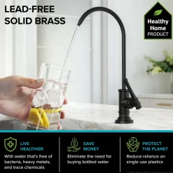 KRAUS Allyn Transitional Bridge Kitchen Faucet & Water Filter Faucet in Matte Black