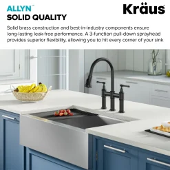 KRAUS Allyn Transitional Bridge Kitchen Faucet & Water Filter Faucet in Matte Black