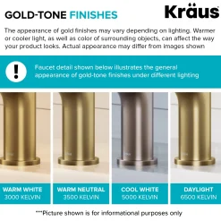 KRAUS Artec Pro 2-Function Single Handle Pull Down Kitchen Faucet in Brushed Brass