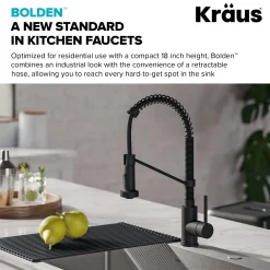 KRAUS Bolden Commercial Style Pull-Down Kitchen Faucet and Purita Water Filter Faucet Combo in Matte Black