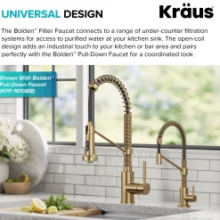 KRAUS Bolden Drinking Water Filter Faucet in Brushed Brass