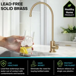 KRAUS Britt Commercial Style Kitchen Faucet and Purita Water Filter Faucet Combo in Spot Free Antique Champagne Bronze