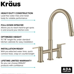 KRAUS Contemporary Bridge Kitchen Faucet with Spray-Head in Antique Bronze