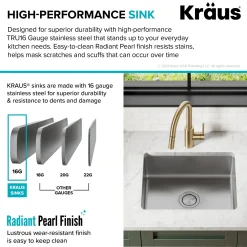 KRAUS Dex 21