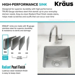 KRAUS Dex 17" Undermount16 Gauge Stainless Steel Kitchen Sink with VersiDrain