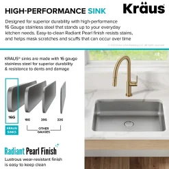 KRAUS Dex 25