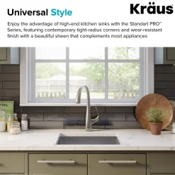 KRAUS 21