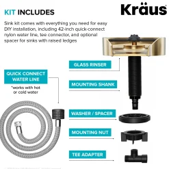 KRAUS Glass Rinser in Brushed Brass