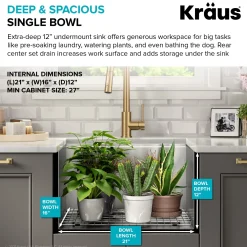 KRAUS Kore 23