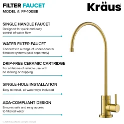 KRAUS Oletto Pull-Down Kitchen Faucet & Purita Water Filter Faucet in Brushed Brass