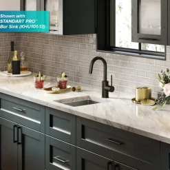 KRAUS Oletto Single Handle Kitchen Bar Faucet in Matte Black