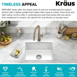 KRAUS Pintura 21