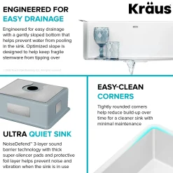 KRAUS Pintura 21