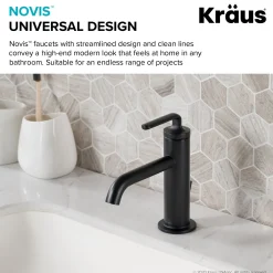 KRAUS Ramus Single Handle 2-Pack Bathroom Sink Faucet with Lift Rod Drain in Matte Black