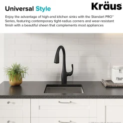 KRAUS 17