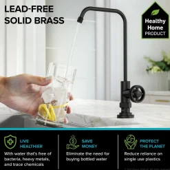 KRAUS Urbix Industrial Bridge Kitchen Faucet & Water Filter Faucet in Matte Black