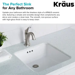KRAUS 17