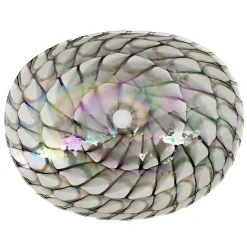 Ruvati 19" Glass Art Vessel Seashell Decorative Pattern Bathroom Sink - Nautilus Brown