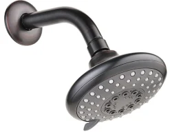 Shower Arm with 5-Jet Showerhead