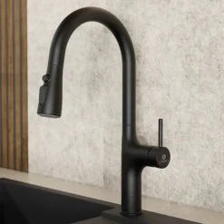 Wasserwerk Arched Pull-Down Kitchen Faucet in Matte Black