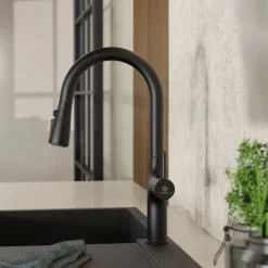 Wasserwerk Arched Pull-Down Kitchen Faucet in Matte Black