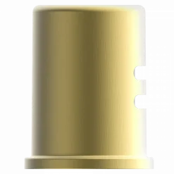 Wasserwerk Dishwasher Air Gap in Brushed Gold