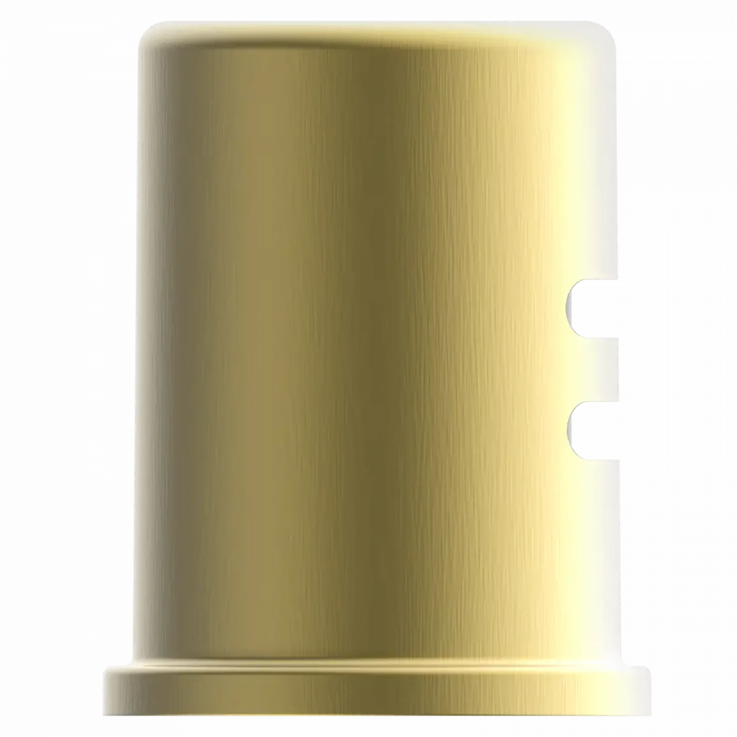 Wasserwerk Dishwasher Air Gap in Brushed Gold