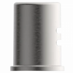 Wasserwerk Dishwasher Air Gap in a Stainless Finish