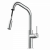 Wasserwerk Kitchen Faucet with Angled Spout Pull-Down Sprayer in Chrome