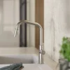 Wasserwerk Kitchen Faucet with Angled Spout Pull-Down Sprayer in Brushed Nickel