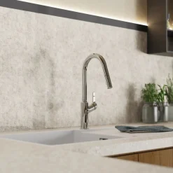 Wasserwerk Kitchen Faucet with Curved Spout in Chrome