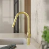 Wasserwerk Kitchen Faucet with Curved Spout in Brushed Gold